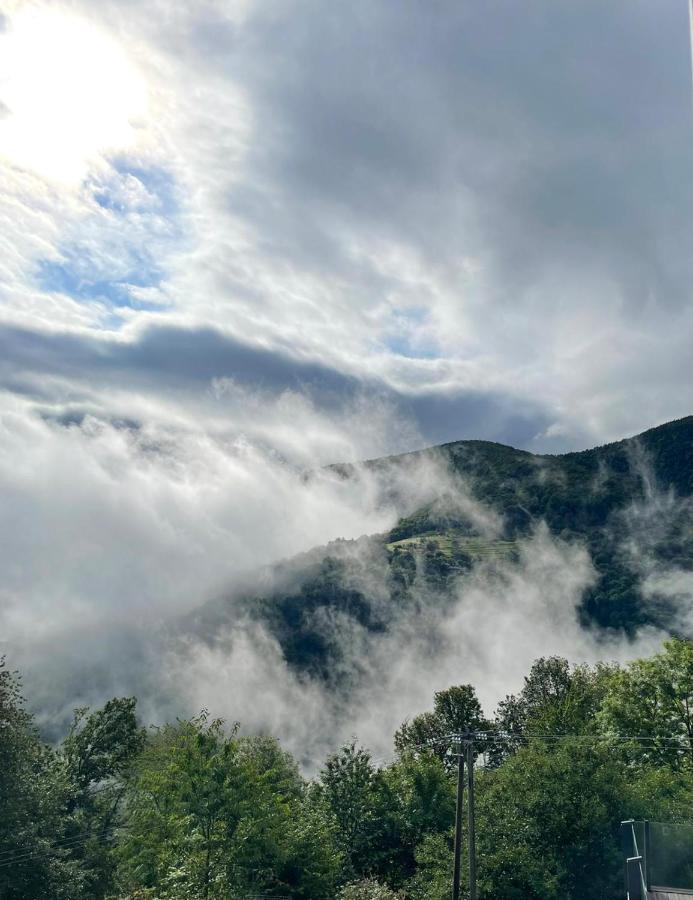 Gite De L'Etoile Le Bosc エクステリア 写真